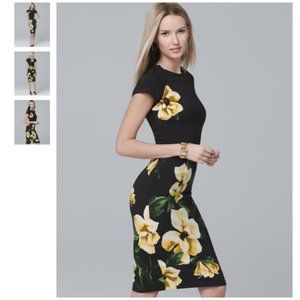 WHBM Short-Sleeve Floral Sheath Dress, Size 6